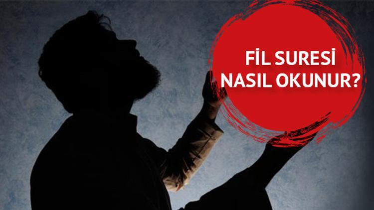 Fil Suresi Oku - Fil Suresi Anlamı, Tefsiri, Türkçe ve Arapça Okunuşu (Diyanet Meali)