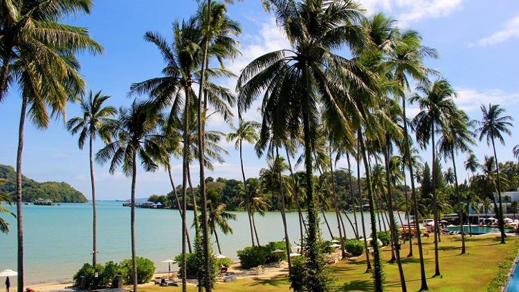 Phuket:Tayland'ın süper starı