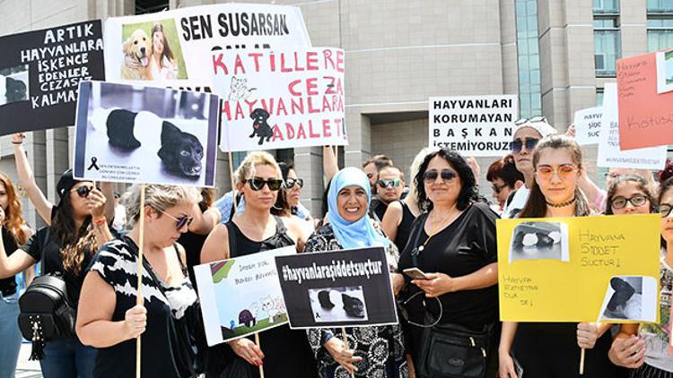Hayvanseverlerden 'cezalar arttırılsın' eylemi