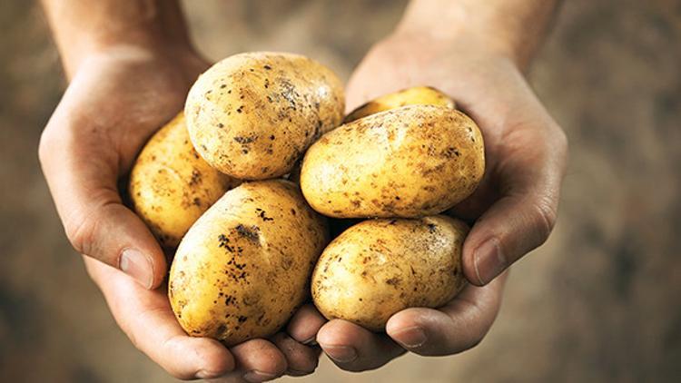 Patates fiyatlarına ‘hassas’ takip