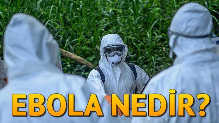 Ebola nedir? Ebola belirtileri neler?