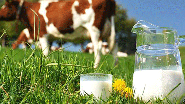 Çiğ süt fiyatı 2 lira 6 kuruş olmalı' - Güncel Haberler