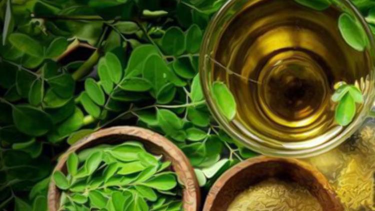 Moringa çayı nedir?