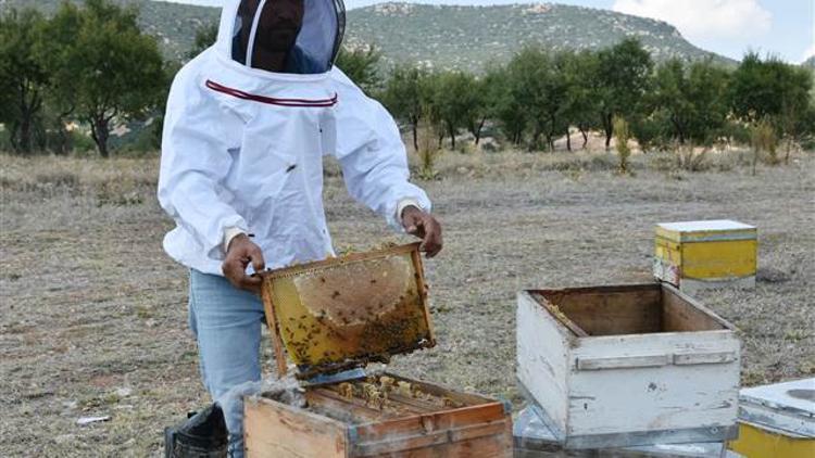 Muş balında rekolte beklentisi 3 bin 600 ton -