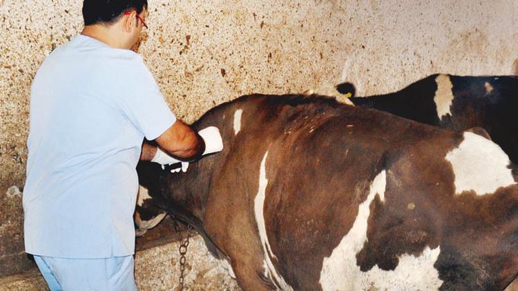 O tesiste kesim yapıldı iddiası