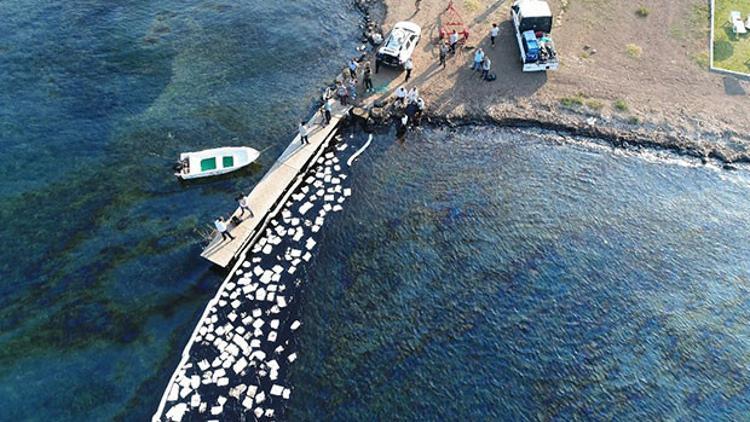 Son dakika... Ünlü tatil beldesindeki şok görüntü için açıklama