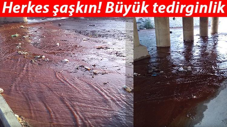 Aydın İl Çayı Deresi kan gölüne döndü