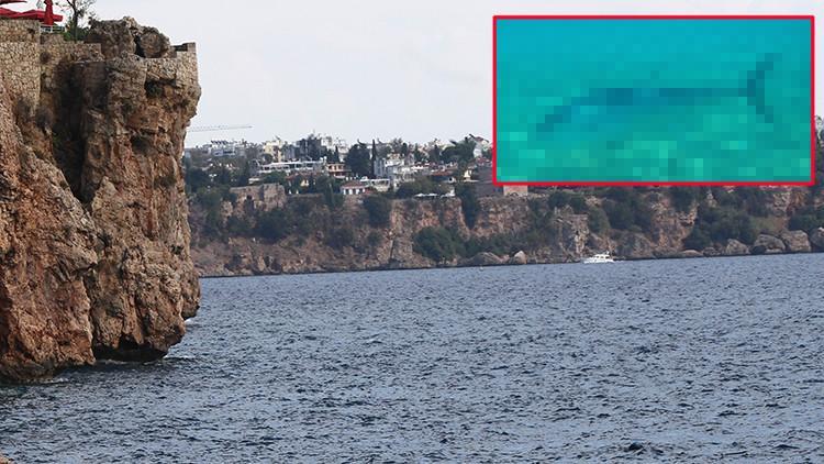 Haberi gören sahile koştu! Avlanması uzun sürmedi