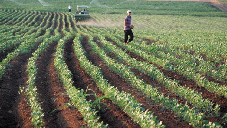 Enflasyona karşı tarımsal üretime destek talebi