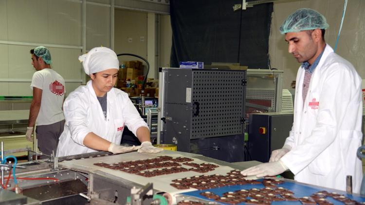 Kanada’dan Diyarbakır’a geldi, 4 kıtaya ihraç ediyor