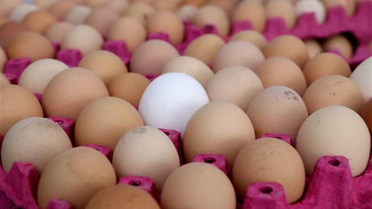 Tavuk yumurtası üretimi Eylülde azaldı