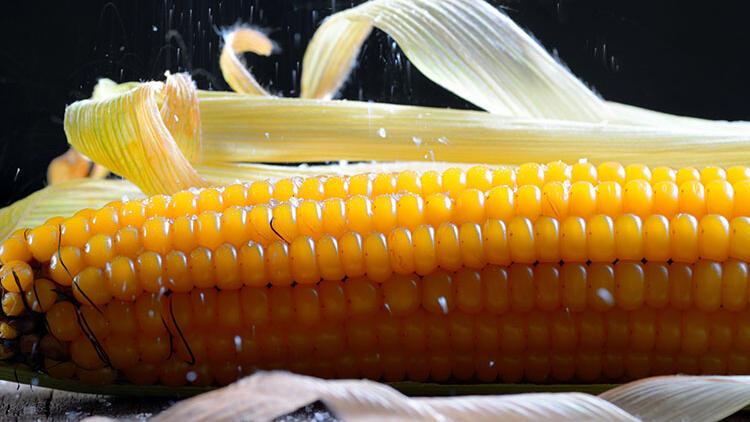 Düdüklü tencerede mısır nasıl pişirilir?