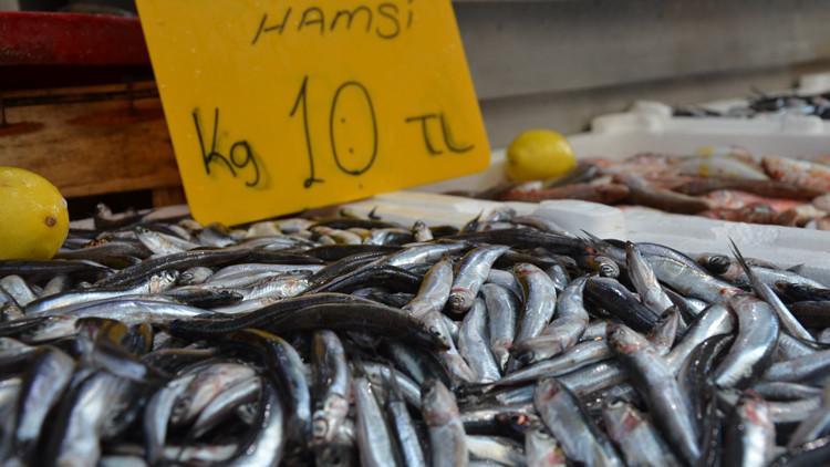 Hamsi fiyatı yükselişe geçebilir!