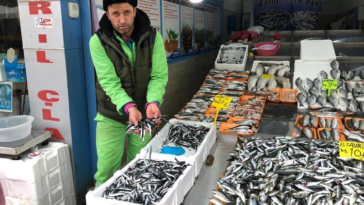 Hamsi kavağa çıktı: 20 TL!
