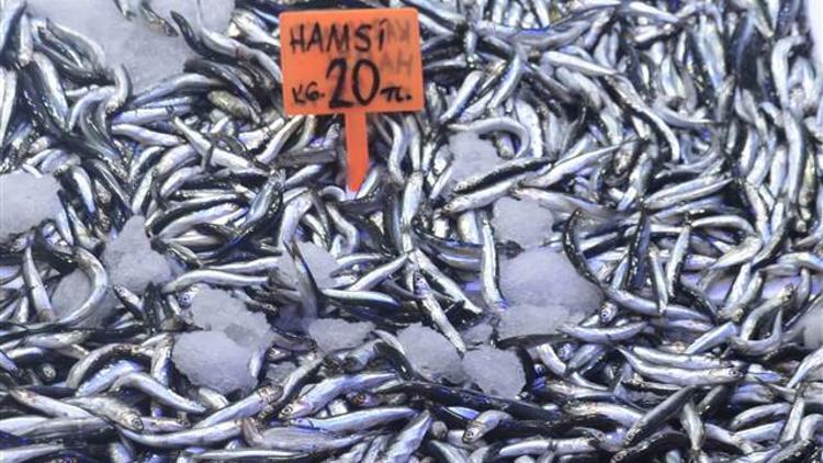 Hamsinin fiyatı el yakıyor