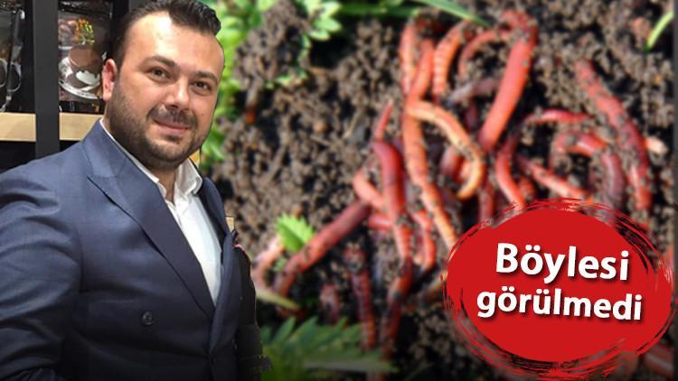 Kırmızı Kaliforniya solucanı ile saadet zinciri kurdular!