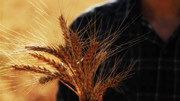 Tarım- ÜFE Aralık ayında yüzde 3,28 arttı