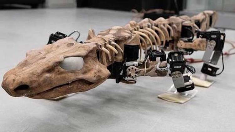 300 milyon yaşındaki fosil, robot olarak dirildi