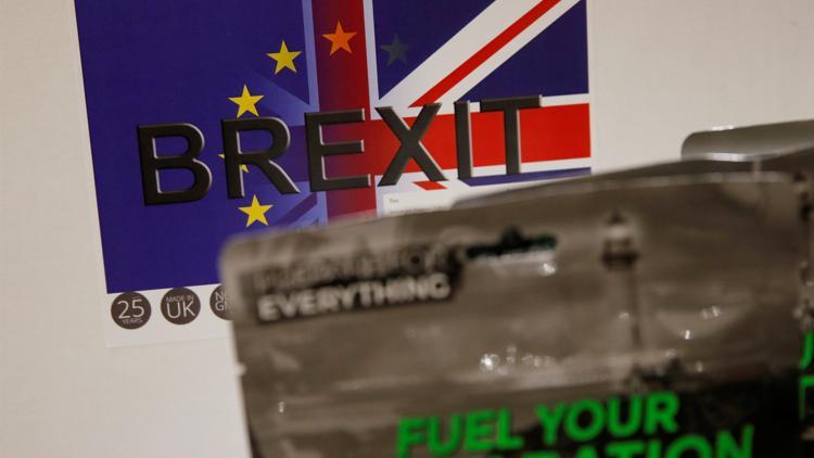 İngiltere'nin önündeki Brexit seçenekleri