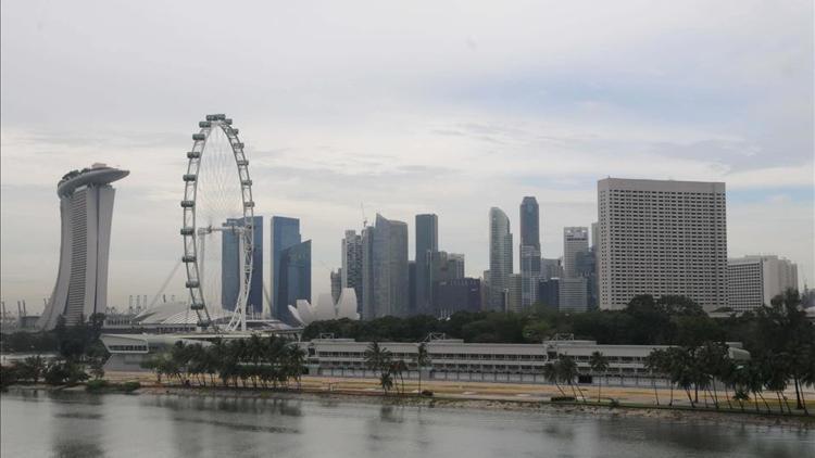 AP'den Singapur'la ticaret anlaşmasına "yeşil ışık"