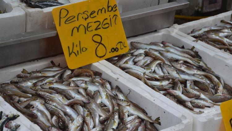 Karadeniz’de mezgit bolluğu
