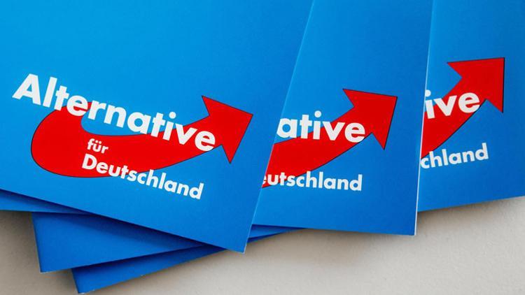 İstihbaratın AfD raporu kamuoyu erişimine açıldı