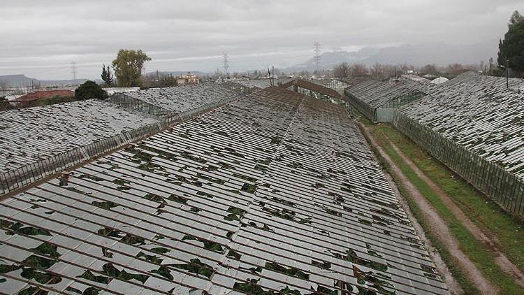 Fırtına sonrası karaborsacılar ortaya çıktı