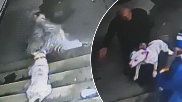İstanbul'da ilginç olay! Sahibiyle lokantada yemek yiyen keçiye köpek saldırdı