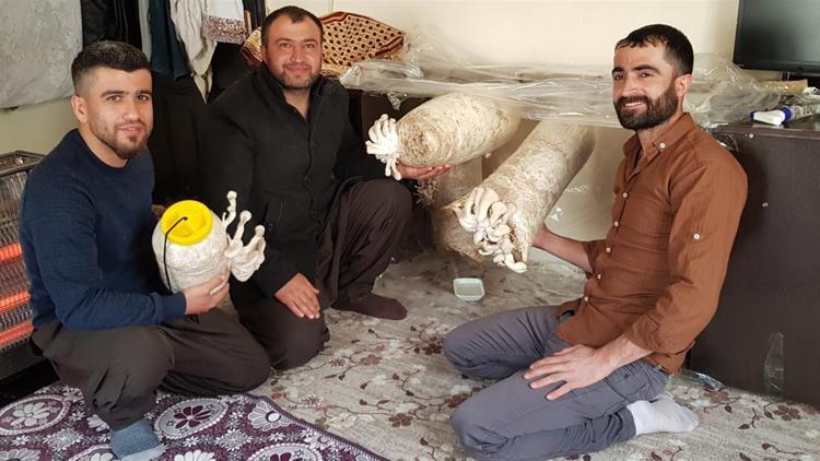 3 arkadaş hobi amaçlı başladı! Sınırda ihtiyacı karşılayacak