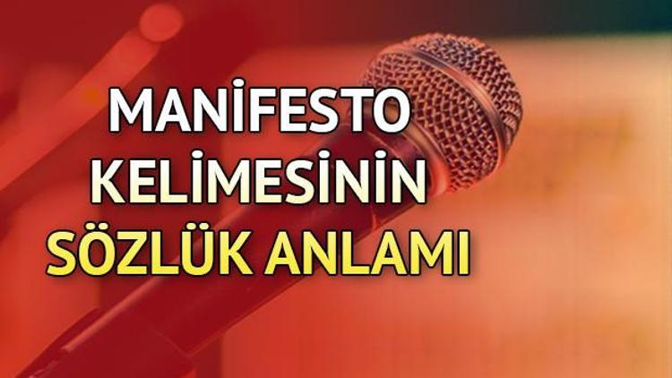 manifesto-ne-demek