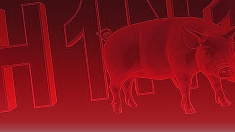 Hindistan'da domuz gribi salgını: 169 ölü