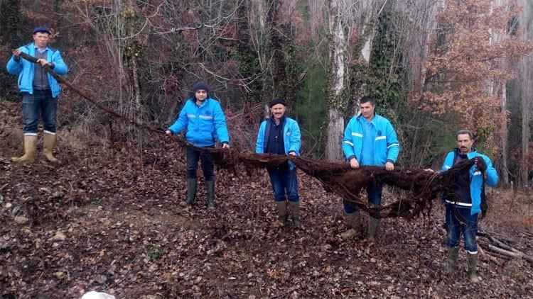 Ekipler şaşkına döndü! Su borusunun içinden çıktı, 8 metre…