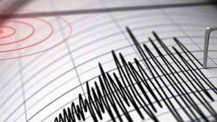 Muğla'da korkutan deprem