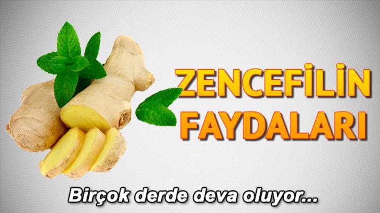 Zencefilin faydaları nelerdir? Antiseptik özelliği barındırıyor