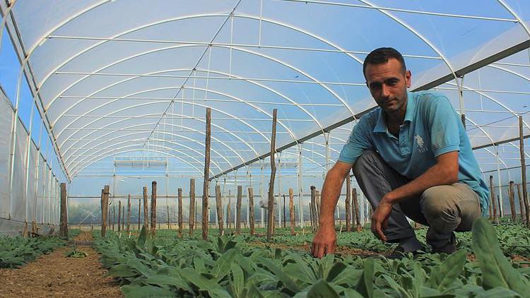 Seracılığa jeotermal dopingi
