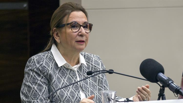Ticaret Bakanı Pekcan: Dijital dönüşümü kaçırmamalıyız