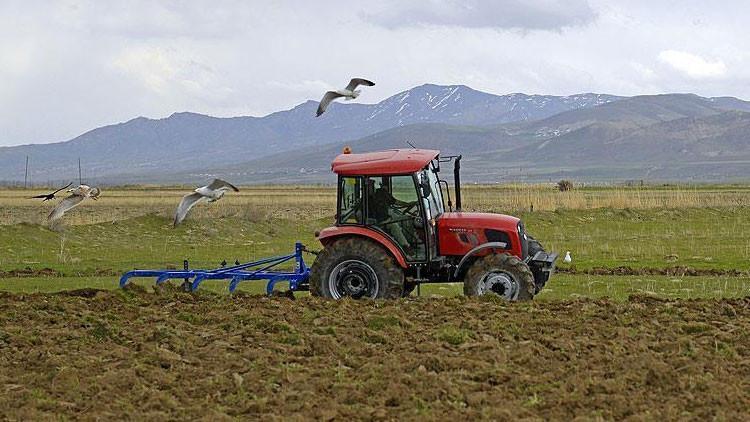Bol yağış, çiftçi ve besicinin beklentisini arttırdı