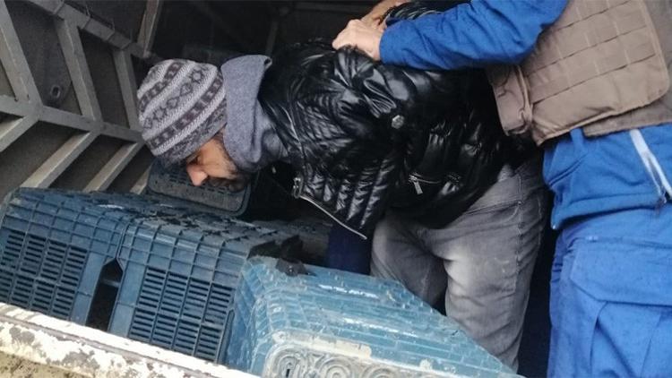 Narenciye kasalarının arasında yakalandı