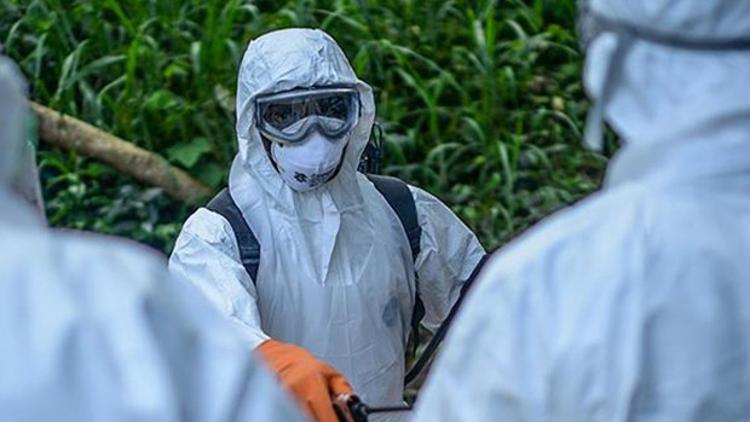 Ebola virüsü nedir? Ebola virüsü belirtileri