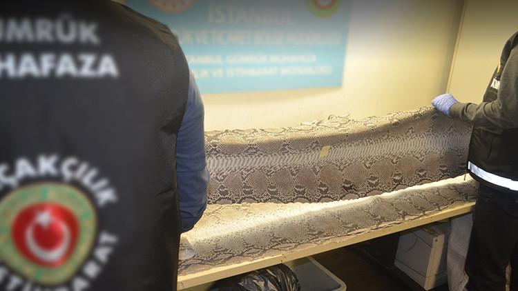 Atatürk Havalimanı'nda ekipler şüphelenince ortaya çıktı! Nadir bulunanlar listesinde