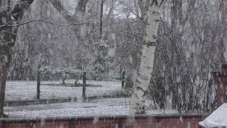 Ardahan'a lapa lapa kar yağdı