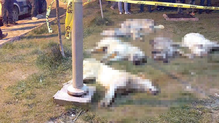 Katliam iddiası: Kiralık katil tutmuşlar