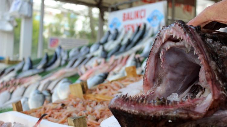 Balık fiyatlarında son hafta uyarısı