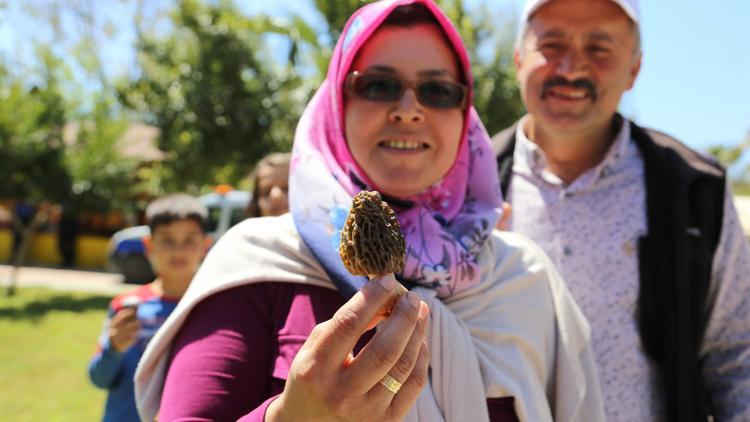 Altını solladı... Kurusu bin TL'den alıcı buluyor