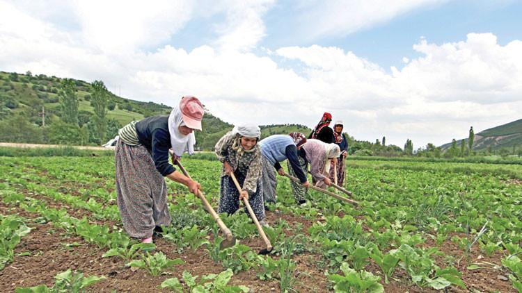 Üreticiye 62.3 milyar TL’lik destek