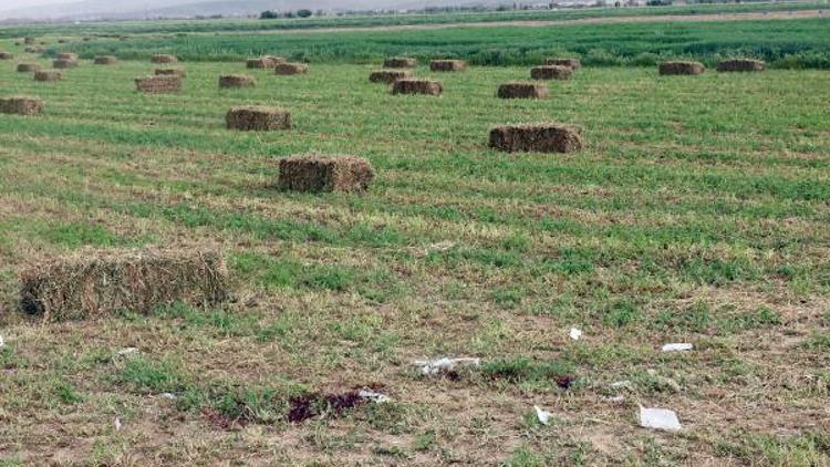 Afyonkarahisar'da arazi anlaşmazlığı kanlı bitti: 2 ölü