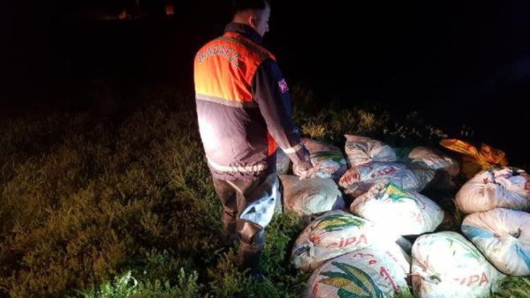 Van'da kaçak avlanan 10 ton inci kefali ele geçirildi