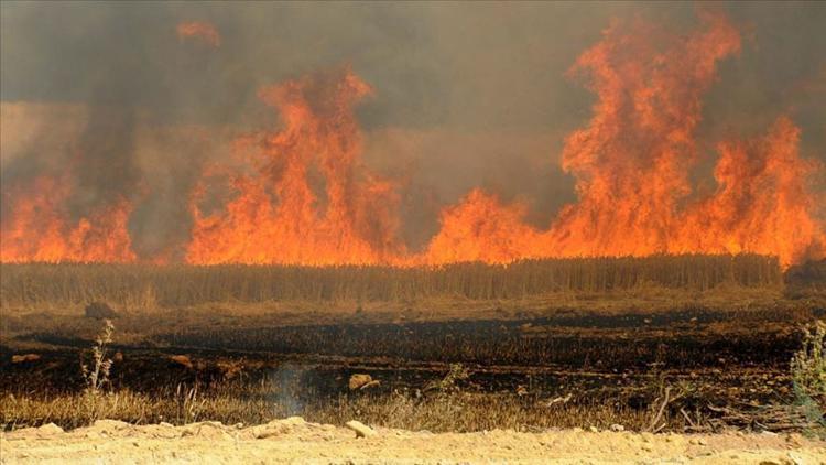 DEAŞ Irak'ta tarım arazilerini yakıyor