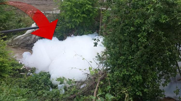 Sapanca'da tedirgin eden görüntü