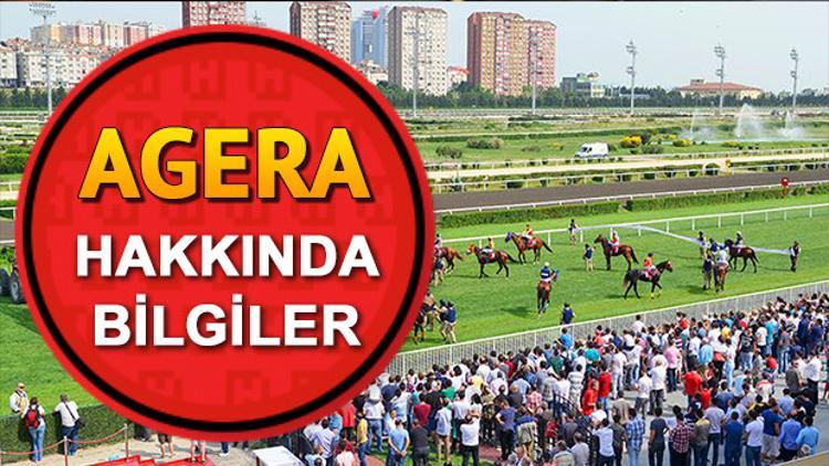 Gazi Koşusu adaylarından Agera'nın biyografisi ve sahibi hakkında bazı bilgiler